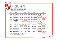 [스포츠마케팅] 부산 아이파크 재포지셔닝 방안-9