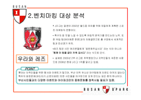[스포츠마케팅] 부산 아이파크 재포지셔닝 방안-13