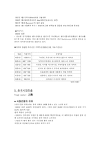 [사업계획서] 중국 팬시업계 진출 전략 사업계획서-2