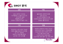 [마케팅조사] 경구피임약 머시론-6