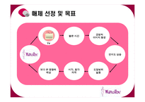 [마케팅조사] 경구피임약 머시론-16