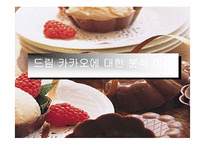 [마케팅] 56%의 성숙, 드림카카오 마케팅 분석-3