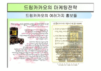 [마케팅] 56%의 성숙, 드림카카오 마케팅 분석-13