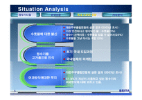 [국제마케팅] 브리타 한국시장 진출전략-6