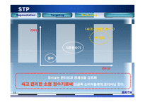 [국제마케팅] 브리타 한국시장 진출전략-16