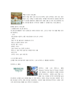 [국제마케팅] 브랜드 확장 전략으로 호텔산업의 다각화를 추진하는 메리어트 호텔-17