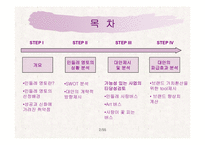 민들레영토 마케팅전략-2