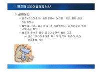 [국제경영] M&A(기업인수합병)의 성공과 실패-16