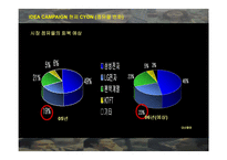 [마케팅] LG전자 `싸이언(CYON)` 마케팅 전략의 분석과 새로운 제시-11