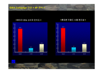 [마케팅] LG전자 `싸이언(CYON)` 마케팅 전략의 분석과 새로운 제시-19
