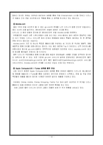 [다국적기업론] 디즈니 기업분석 -다각화를 중심으로-13