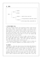 기업인수합병 국내와 외국의 사례-3