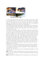 [대중문화] 대중문화와 논술-5