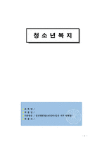 [사회복지개론] 청소년 복지-9