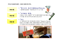 [광고학] 간접광고 PPL이 주목 받는 원인과 장점 및 국내 외 규제 사례(A+레포트)★★★★★-5