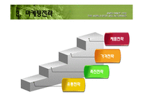 [마케팅] 진로소주의 일본진출(A+레포트)★★★★★-14