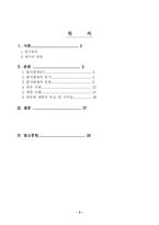 [분식회계] 대우와 엔론 사례를 통해서 본 우리나라 분식회계의 실태와 개선점-2