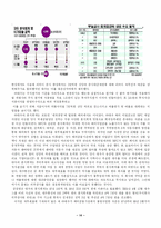 [분식회계] 대우와 엔론 사례를 통해서 본 우리나라 분식회계의 실태와 개선점-14