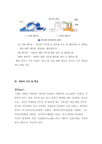 디자인과 재료 -자전거-12