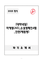 A+ 2025 [대학내일] 마케팅(AE)_소셜캠페인4팀_인턴(체험형) 자소서-1