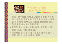[식생활과 건강] 다이어트 종류 및 부작용(A+레포트)-10