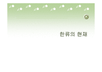 한류열풍의 현재, 문제점, 대안-3