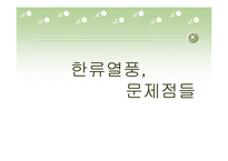 한류열풍의 현재, 문제점, 대안-8