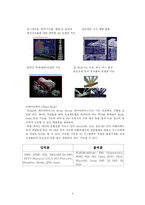 [CAD] 철골구조캐드시스템 Xsteel-6