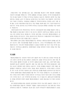 행정중심도시와 국가발전-10
