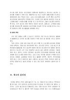 광고의 사회 책임 문제-6