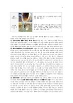 [전자정부론] RFID와 전자정부의 미래-11