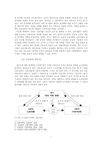 전국교직원노동조합의 위기 -부정적인 인식의 원인에 대한 다각적 연구-7