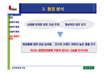 [경영학] 미샤화장품 성공사례 분석-13