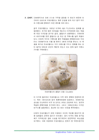 오로라월드 기업분석-8
