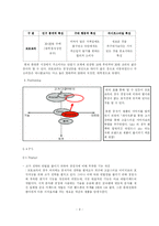 [국제광고론] 모토로라 광고 분석-9