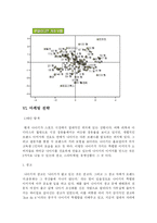 [마케팅조사] 나이키 스포츠 브랜드 분석-9