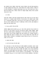 [국제경영] IBM의 국제경영관리-9
