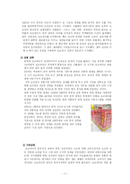 [국제경영] 오리온 초코파이의 중국진출-9