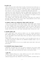 [국제물류] 베네통의 복합물류시스템-7
