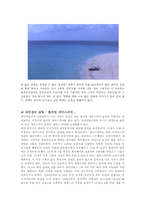[영화의 이해] 내 인생의 영화, 감독, 배우-3