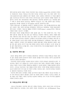 [페미니즘] 페미니즘의 어원과 의의 및 페미니즘 이론 고찰-2