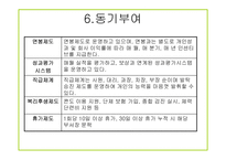 [경영학] 지마켓 G마켓 기업분석-16