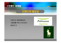 브랜드 마케팅전략-6