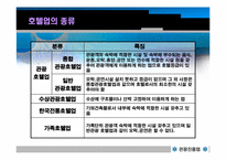 관광진흥법 레포트-6