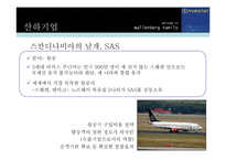 [경영사례] 발렌베리가문의 장기소유경영-15
