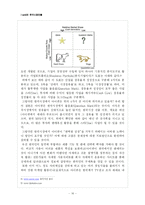 [국제경영] 아이팟의 한국시장진출-16