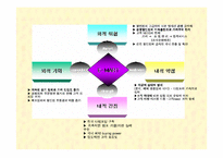 [대형유통할인점]이마트(E-MART)의 4P분석 및 SWOT분석-17