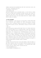 [외식산업] 외식산업의 분류에 관한 연구-6