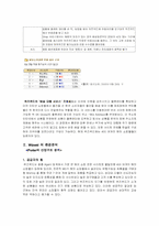 [인터넷비즈니스]인터넷쇼핑몰 `Wizwid`위즈위드 경영분석-2
