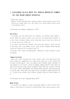 [국제경영] 인켈의 영국 해외직접투자-6